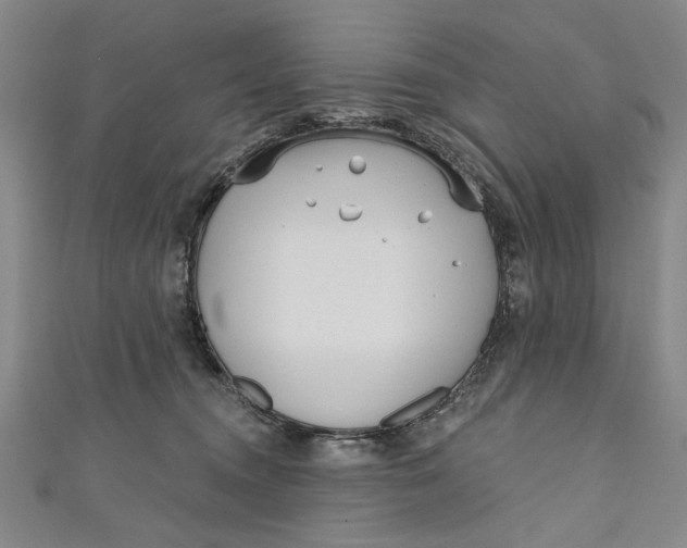 X0000111170372200907221033