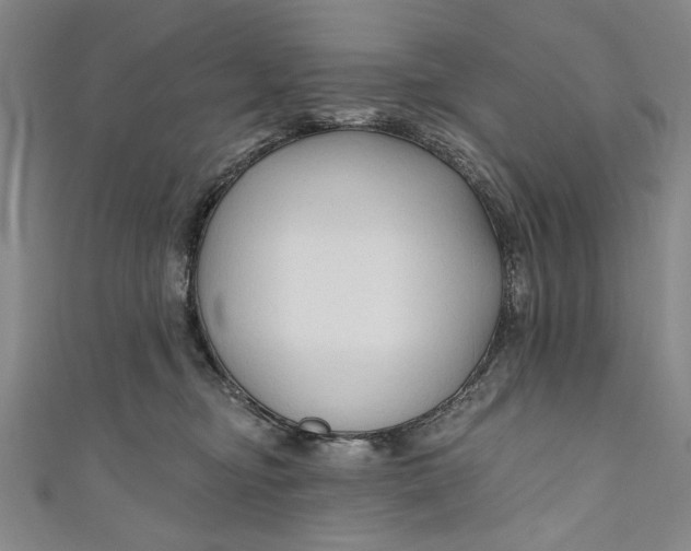 X0000111170374200907221033