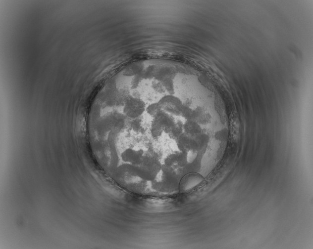 X0000111170375200907221033