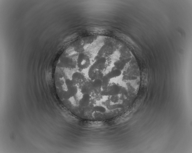 X0000111170377200907221033