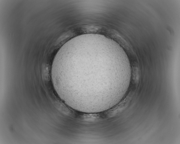 X0000111170378200907221033