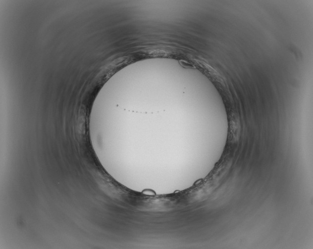 X0000111170379200907221033