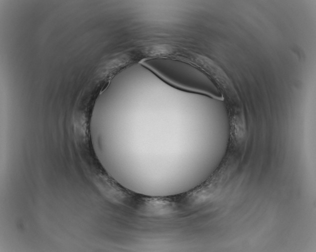 X0000111170380200907221033