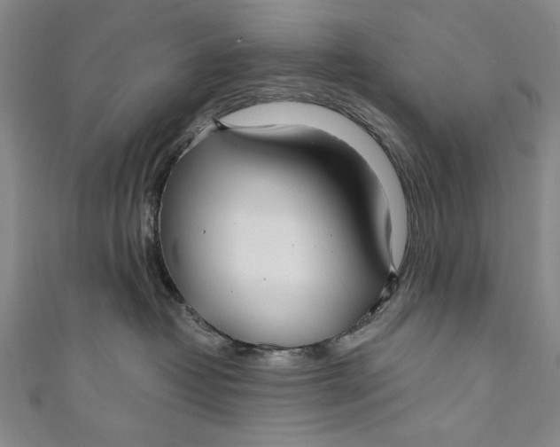 X0000111170382200907221033