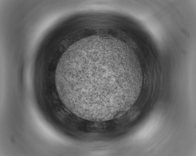 X0000111170383200907221033