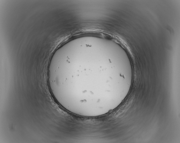 X0000111170385200907221032