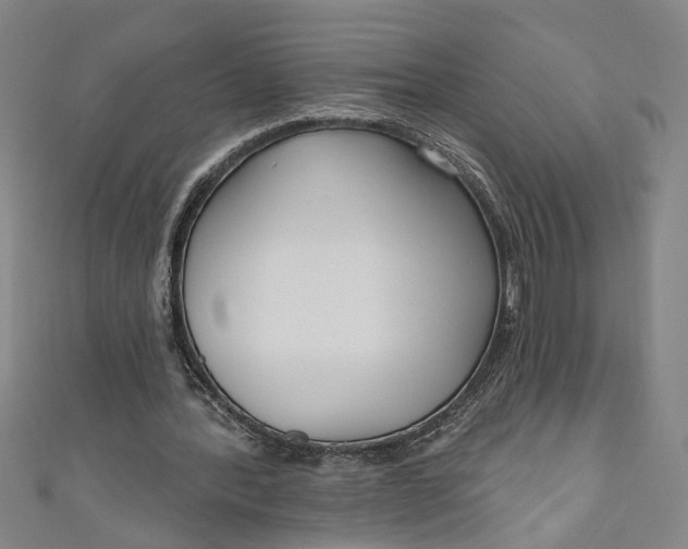 X0000111170388200907221032