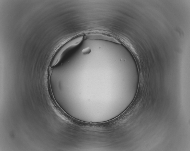 X0000111170389200907221032