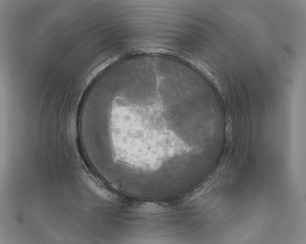 X0000111170390200907221032