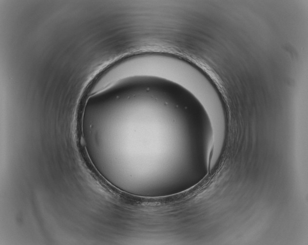 X0000111170391200907221032