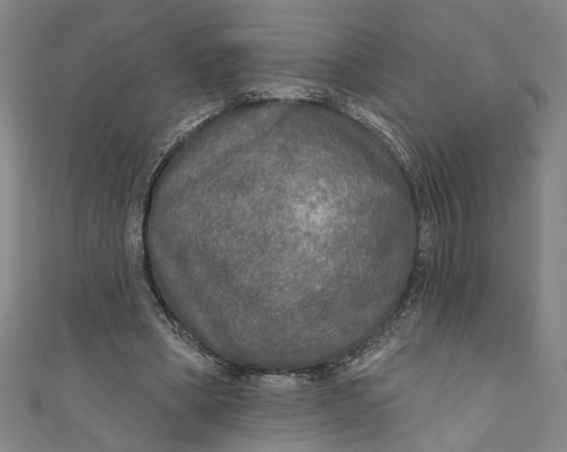 X0000111170394200907221032