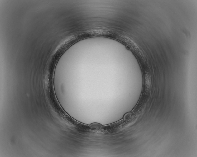 X0000111170396200907221032