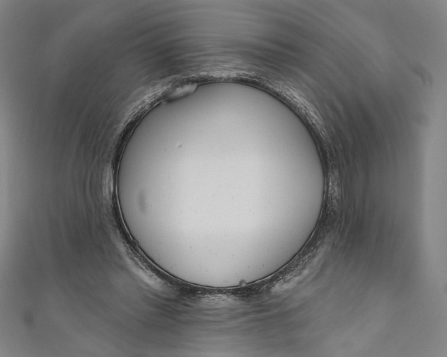 X0000111170397200907221032