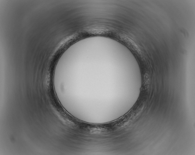 X0000111170400200907221032