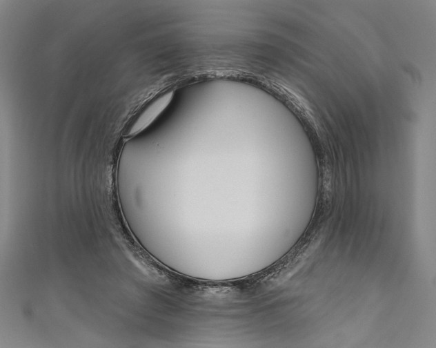 X0000111170401200907221032