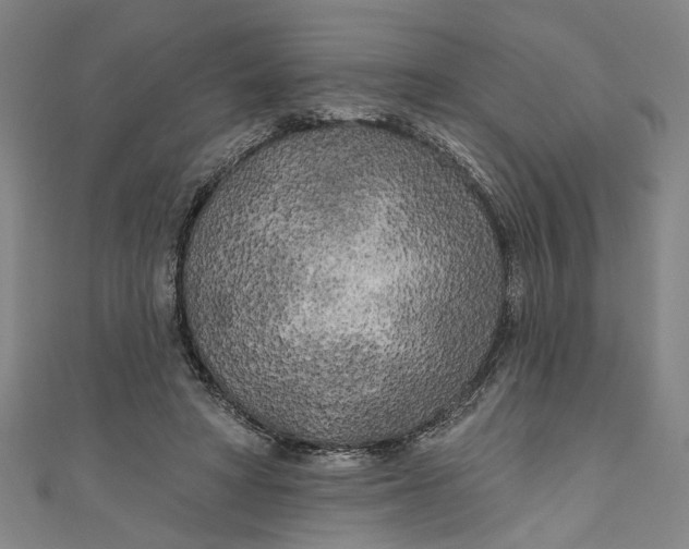 X0000111170402200907221032