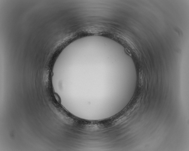 X0000111170404200907221032