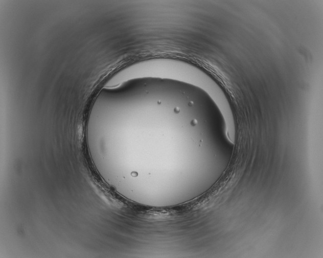 X0000111170405200907221032