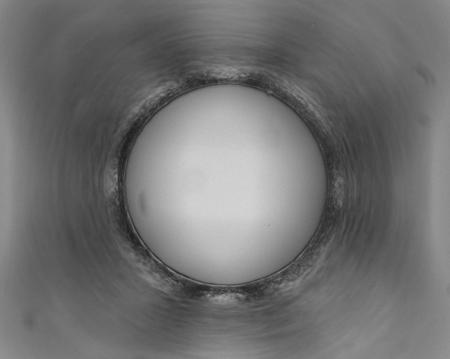 X0000111170407200907221032