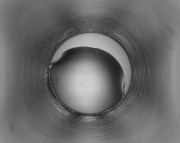 X0000111170409200907221032