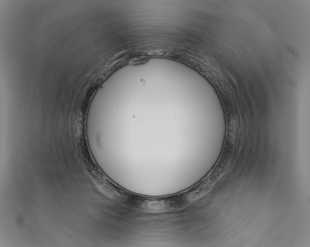 X0000111170413200907221032