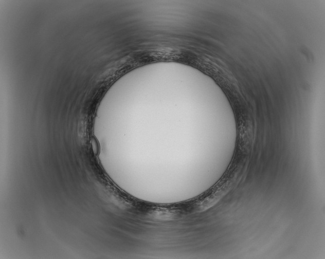 X0000111170416200907221032