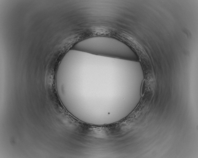 X0000111170417200907221032