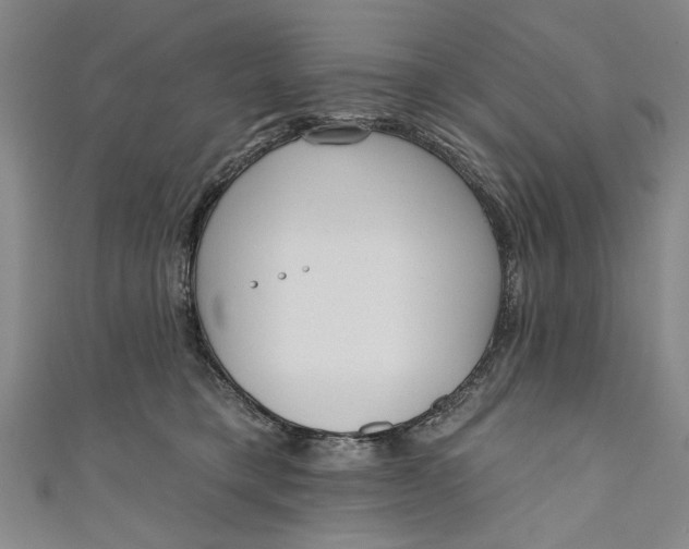 X0000111170421200907221032