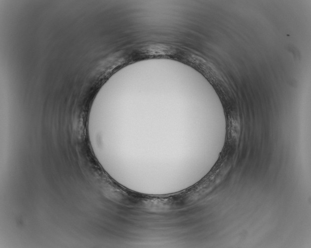 X0000111170422200907221032