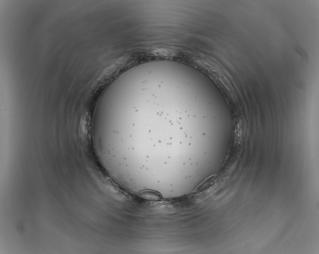 X0000111170424200907221032