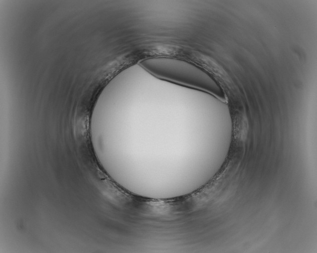 X0000111170425200907221032