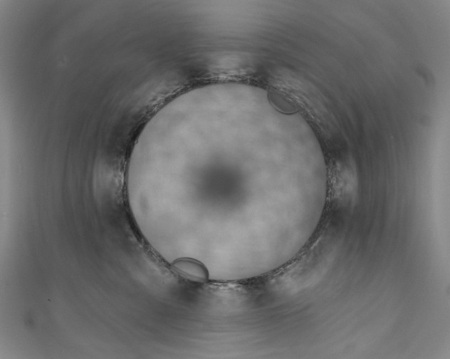 X0000111170427200907221032