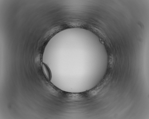 X0000111170428200907221032