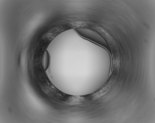 X0000111170429200907221032