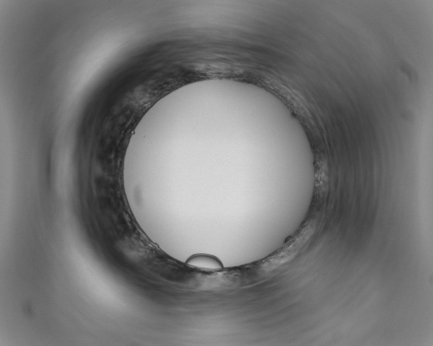 X0000111170430200907221032