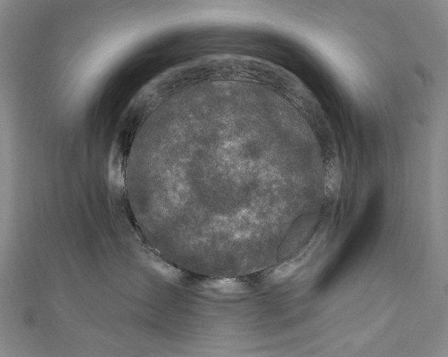 X0000111170431200907221032