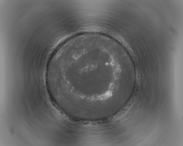 X0000111170434200907221031