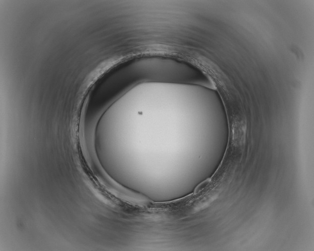 X0000111170436200907221031