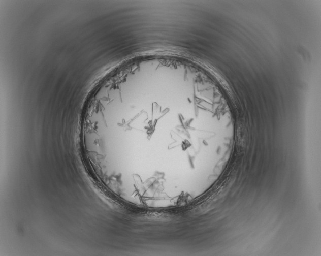 X0000111170437200907221031