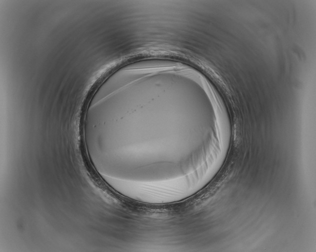 X0000111170438200907221031