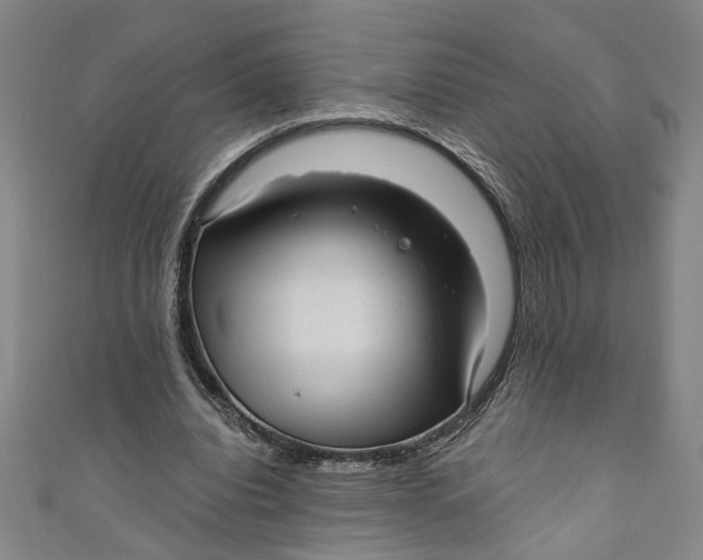 X0000111170440200907221031