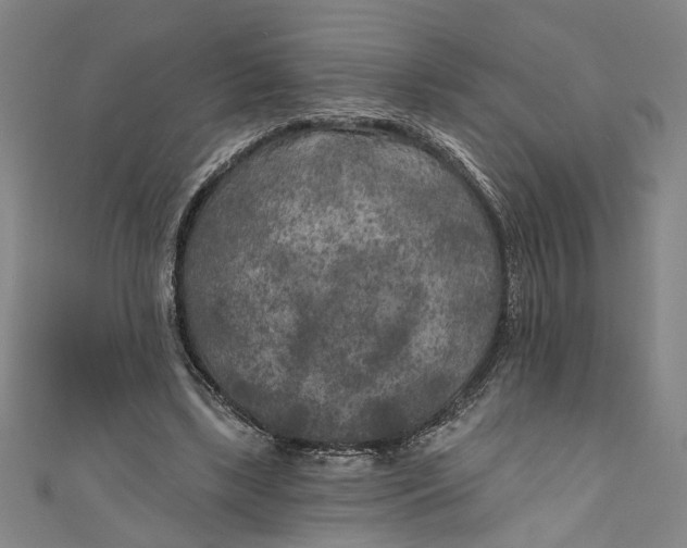 X0000111170443200907221031