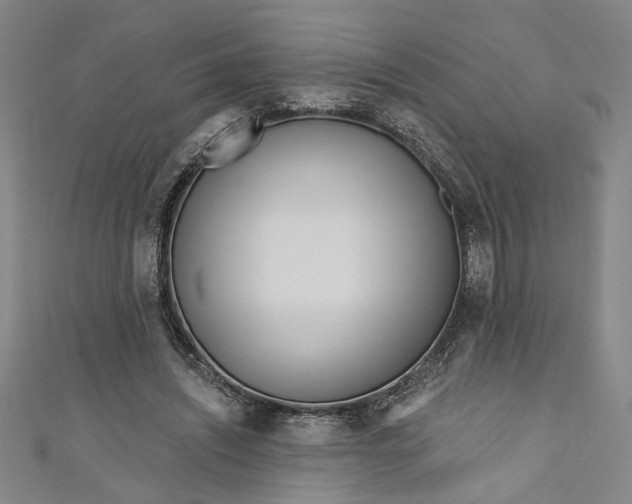 X0000111170444200907221031