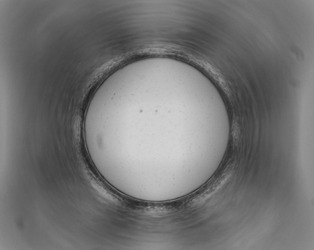 X0000111170445200907221031