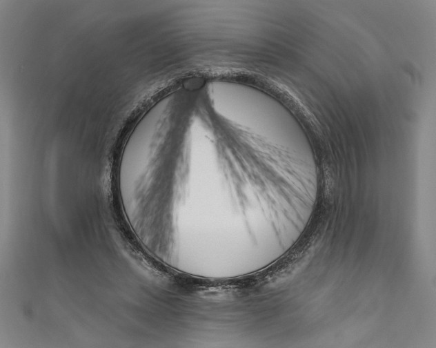 X0000111170447200907221031