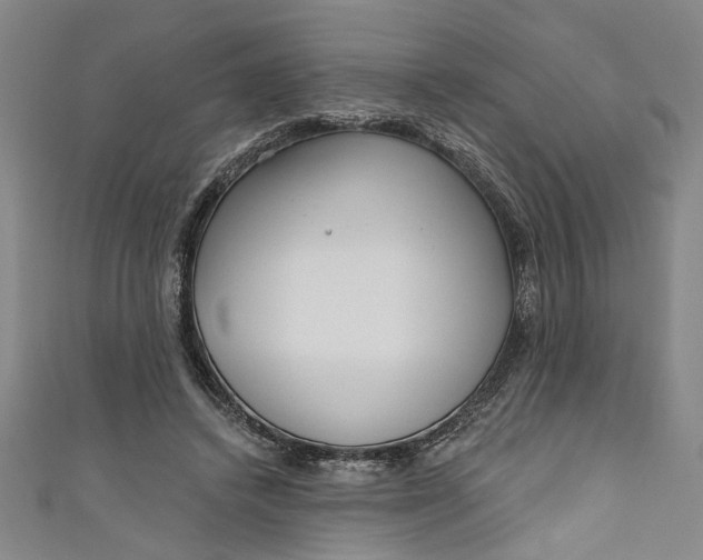 X0000111170448200907221031