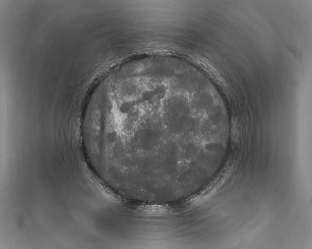 X0000111170449200907221031