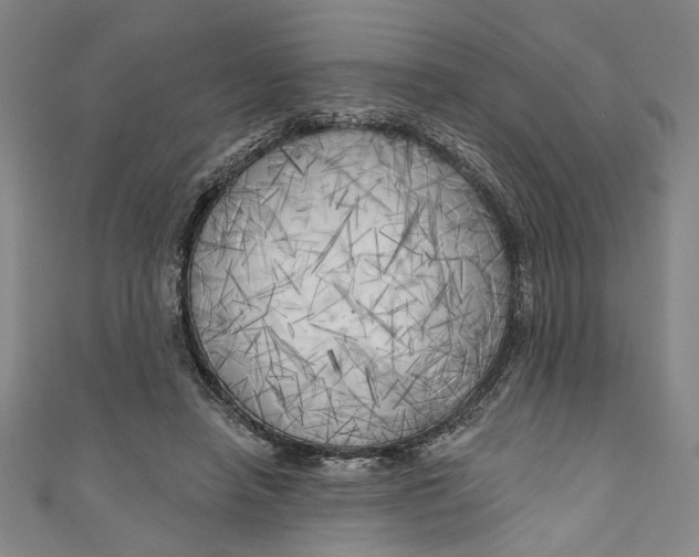 X0000111170450200907221031