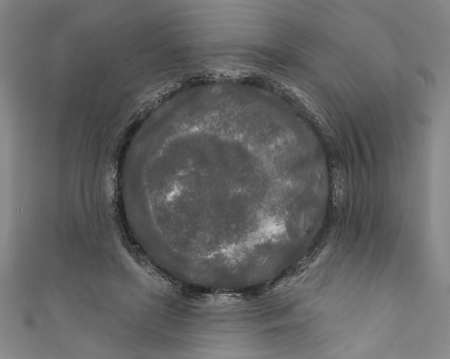 X0000111170451200907221031