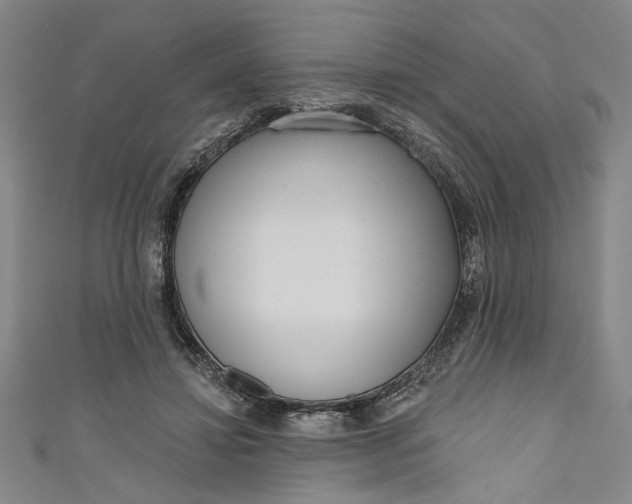 X0000111170452200907221031